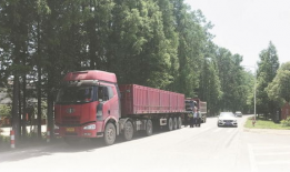 好吊色免费视频,独家内容与精彩瞬间大盘点